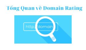 Domain Rating là gì
