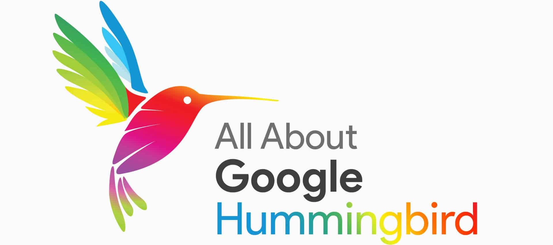 Google Hummingbird là gì?